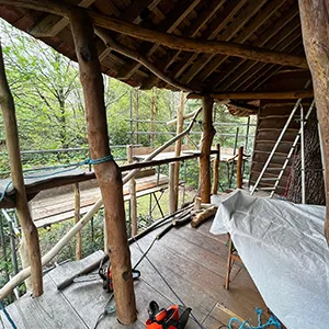 scaffolding around tree house
