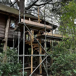 outside view of treehouse