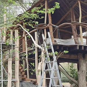 scaffolding over tree house